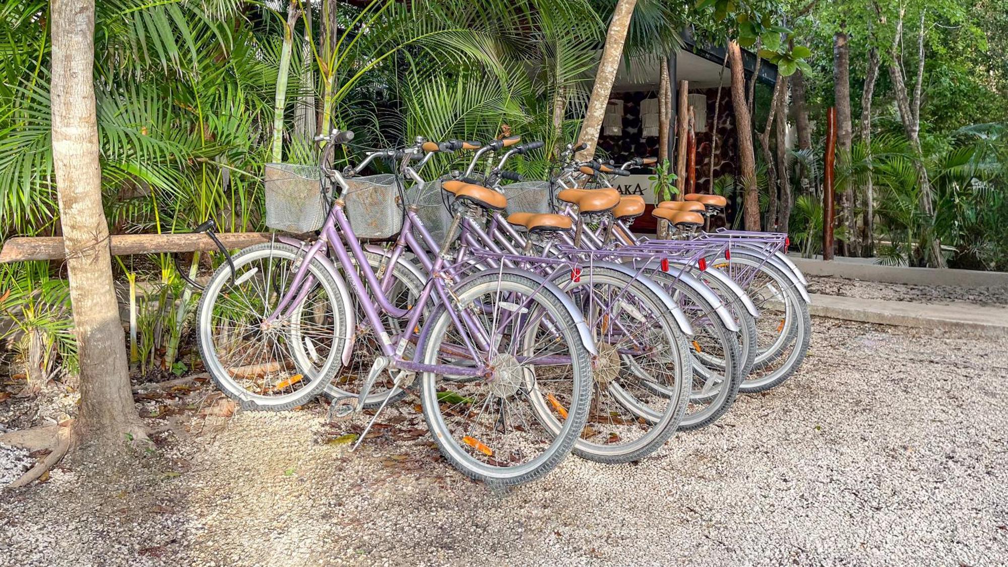 Amaka Calma Tulum 호텔 외부 사진